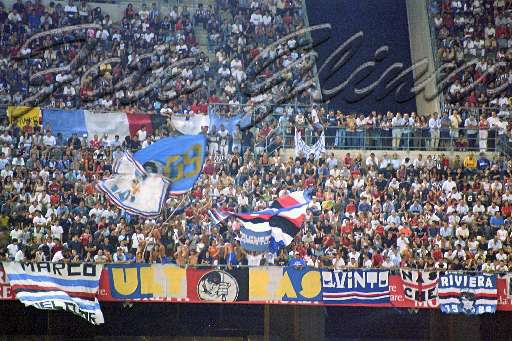 Foto #39